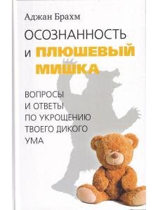 Осознанность и плюшевый мишка. Вопросы и ответы по укрощению твоего дикого ума