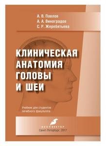 Клиническая анатомия головы и шеи