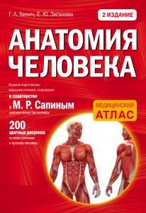 Анатомия человека