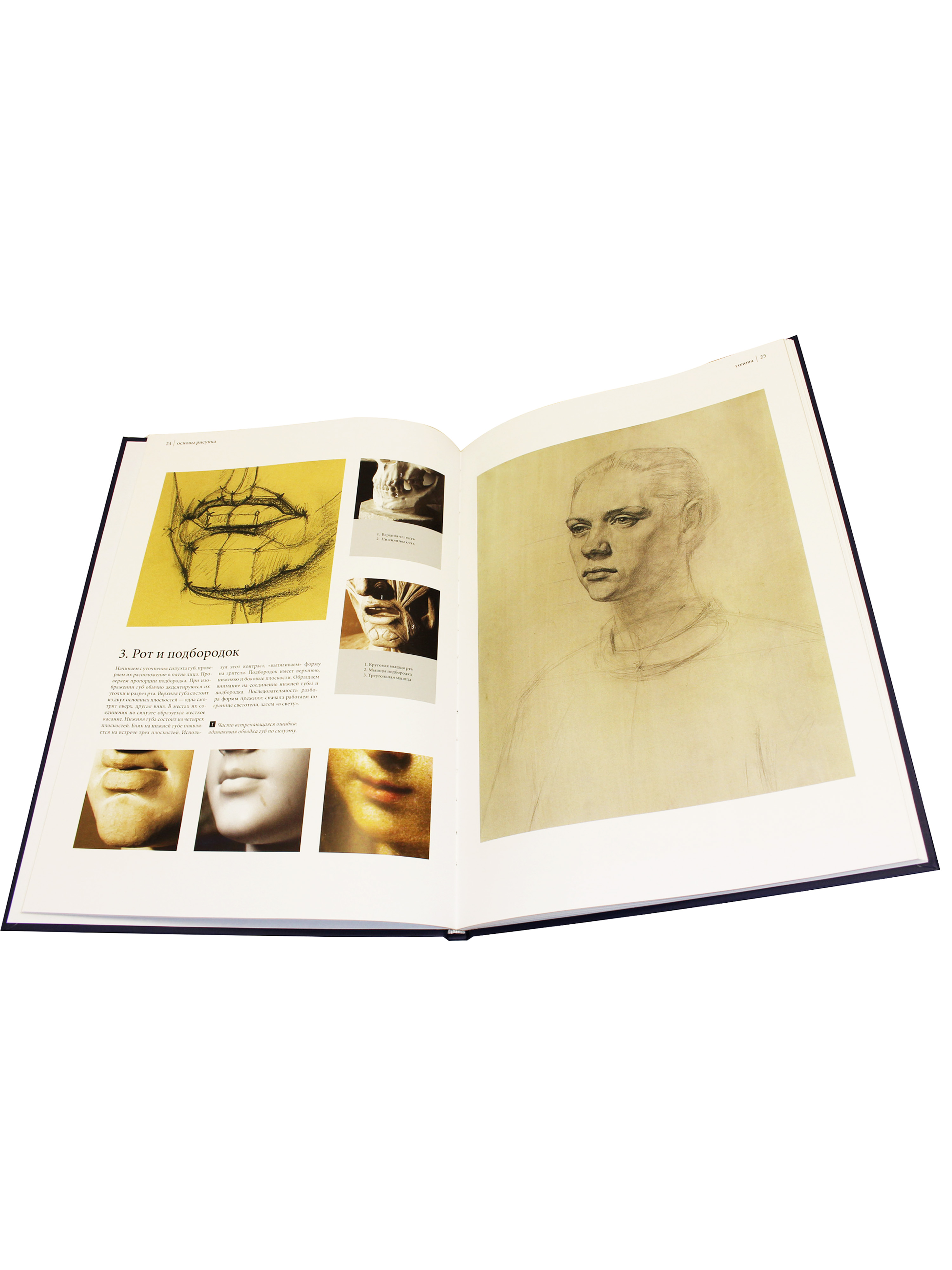 Основы рисунка. Учебное пособие.