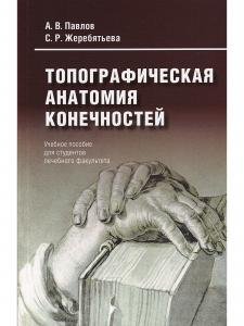 Топографическая анатомия конечностей
