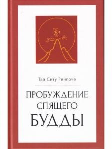 Пробуждение спящего будды