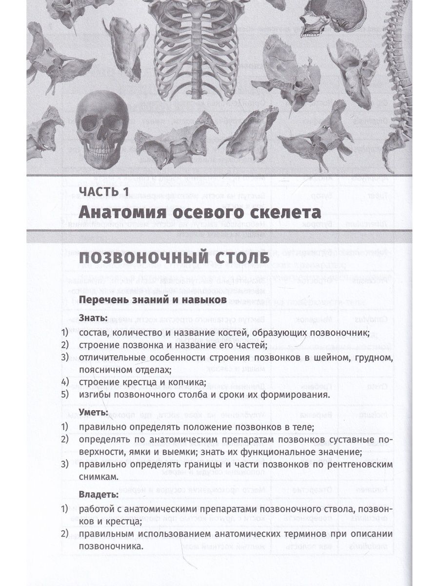 Остеология. Тесты по анатомии остеология. Карточки по анатомии (сапин)#анатомия. Контрольная работа по анатомии. Гайворонский анатомия 1 том.