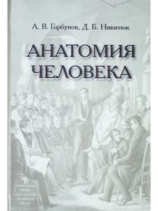 Анатомия человека