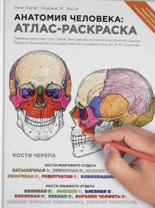 Анатомия человека: атлас-раскраска