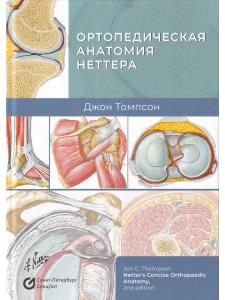 Ортопедическая анатомия Неттера