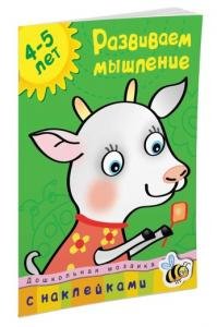 Развиваем мышление (4-5 лет)