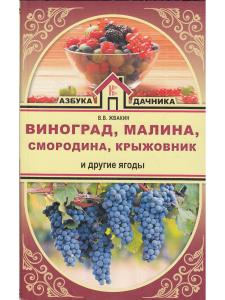 Виноград, малина, смородина, крыжовник и другие ягоды