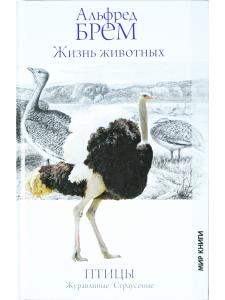 Жизнь животных. Птицы