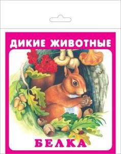 Дикие животные (набор карточек)