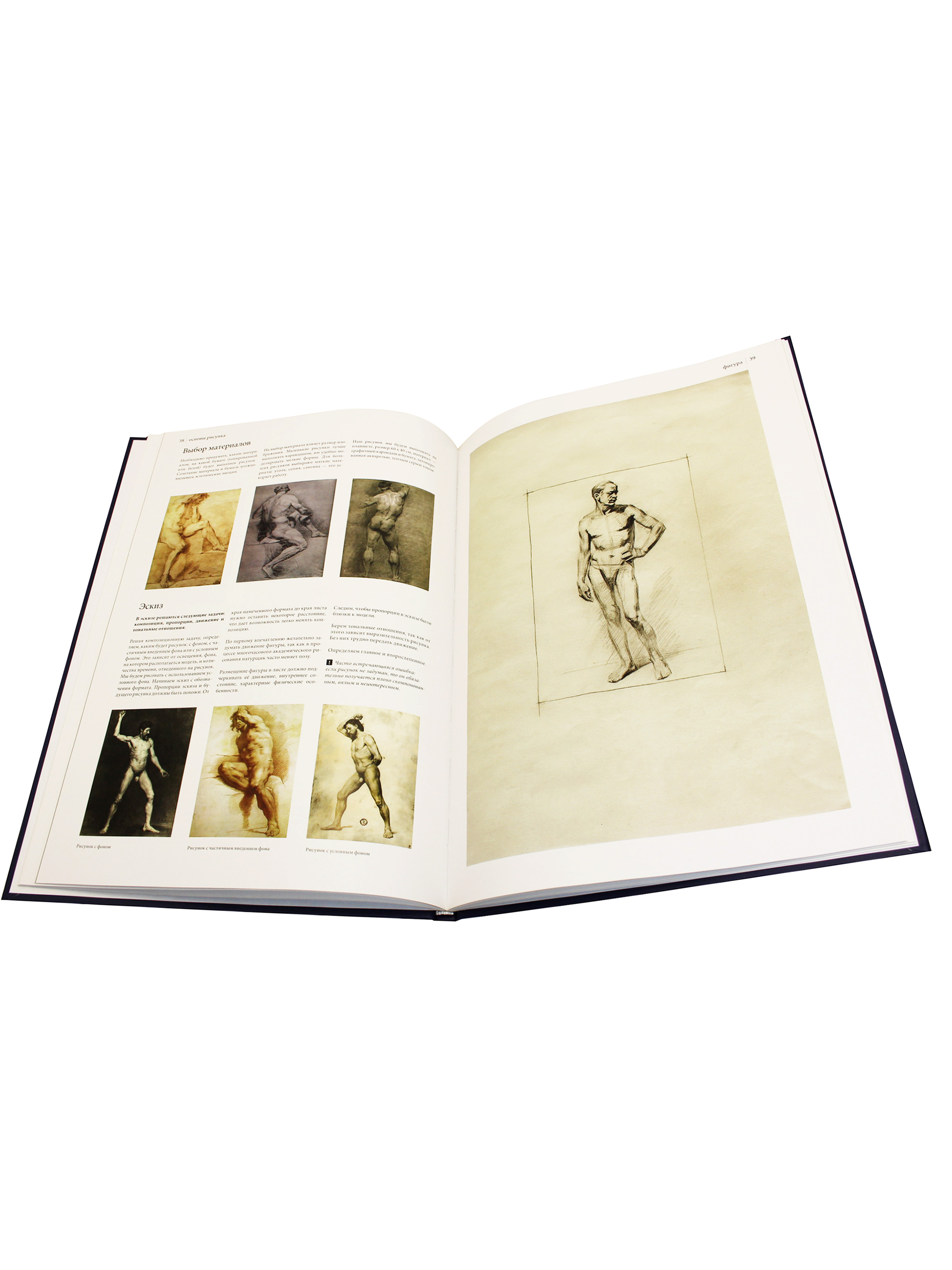 Основы рисунка. Учебное пособие.