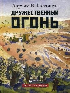 Дружественный огонь