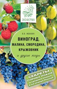 Виноград, малина, смородина, крыжовник и другие ягоды