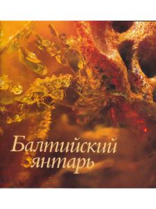 Балтийский янтарь (из собрания Калининградского музея янтаря)