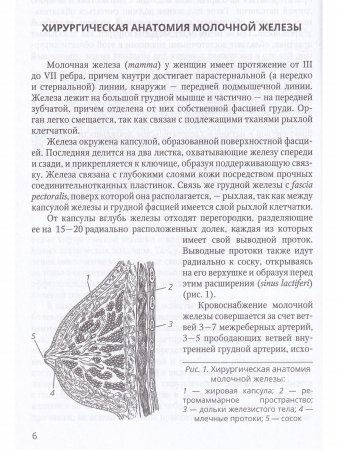 Хирургия молочной железы.Руководство для врачей