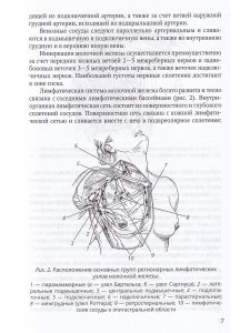 Хирургия молочной железы.Руководство для врачей