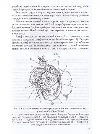 Хирургия молочной железы.Руководство для врачей