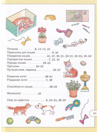 Мой любимый котенок