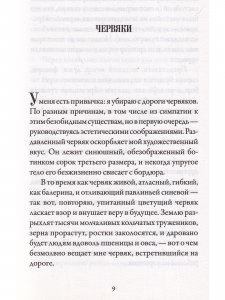 О лебединых крыльях, котах и чудесах