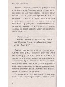 Фруктовый сад. Вишня, слива и яблоня