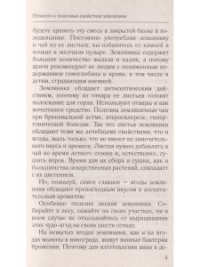 Крупноплодная садовая земляника. Лучшие сорта и современные технологии выращивания