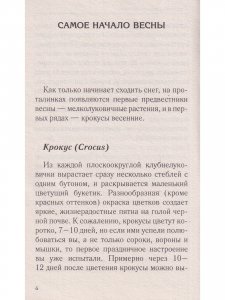 Красивый сад с весны до осени.