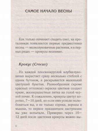 Красивый сад с весны до осени.