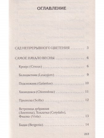 Красивый сад с весны до осени.