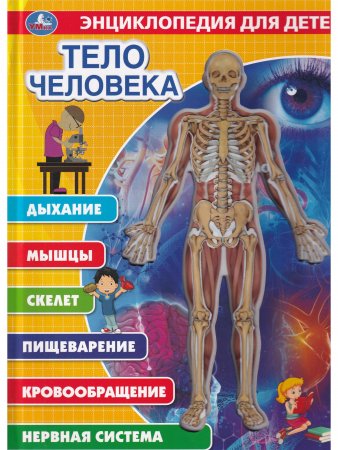 Тело человека, энциклопедия (с вставками из прозр. пленки)