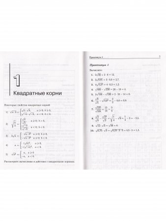 Корни. Пособие для школьников и абитуриентов. Практикум, тренинг, контроль. Под редакцией Зива Б.Г.