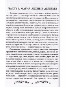Магия леса