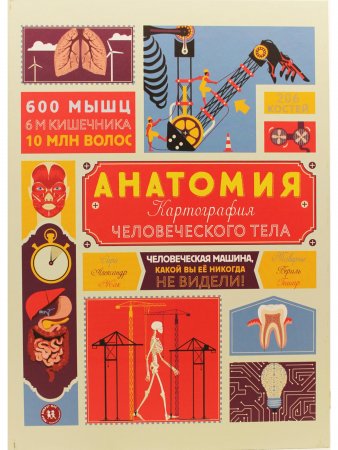 Анатомия. Картография человеческого тела