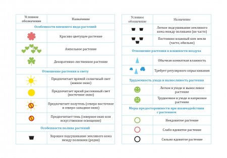 Картотека предметных картинок. Выпуск 32. Комнатные растения и модели ухода за ними. 3-7 лет.(Новый формат) ФГОС. Наглядный дидактический материал.