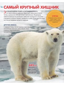 Эти удивительные животные