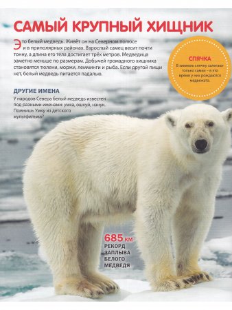 Эти удивительные животные