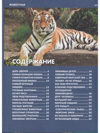 Эти удивительные животные