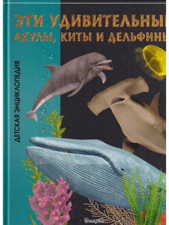 Эти удивительные акулы, киты и дельфины