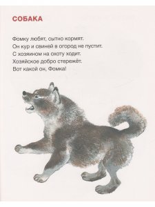 Вот они какие. Илл. Автора