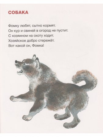 Вот они какие. Илл. Автора