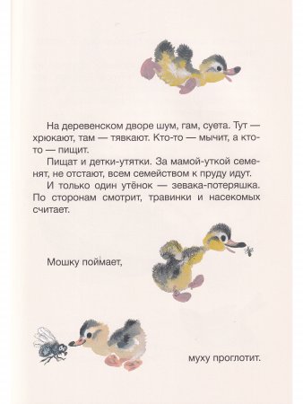 Когда утёнок вырастет?