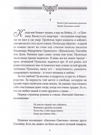 Прочитаем "Онегина" вместе : эссе. (Серия "Великая Россия".)