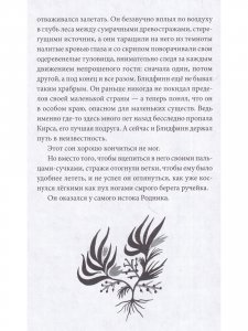 Блидфинн. Четыре путешествия в неизвестность