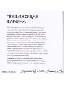 Археологические открытия: города, гробницы, сокровища