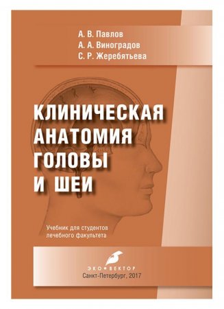 Клиническая анатомия головы и шеи