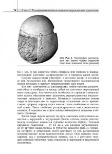 Клиническая анатомия головы и шеи