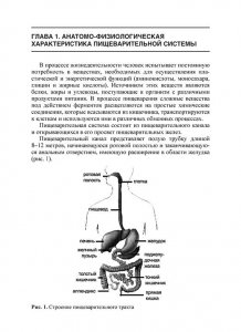 Острые кишечные инфек-ции в практике педиатра и семейного