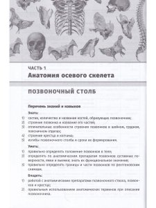Остеология