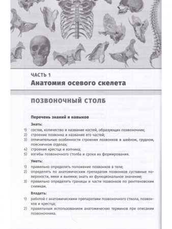 Остеология