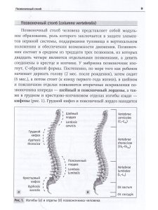 Остеология