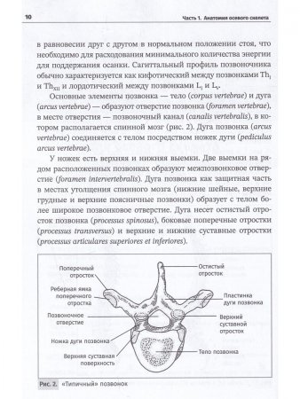 Остеология